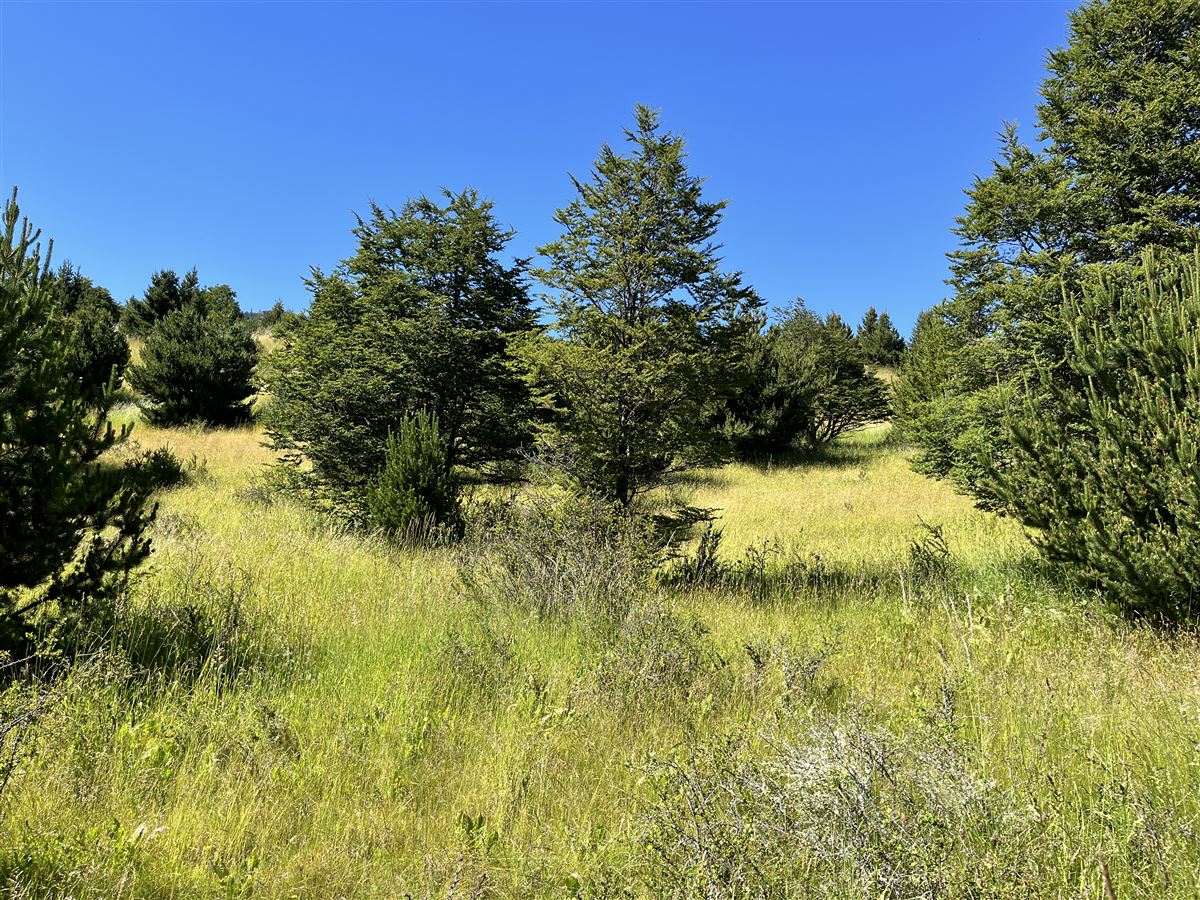 Venta Parcela Coyhaique - Aysén