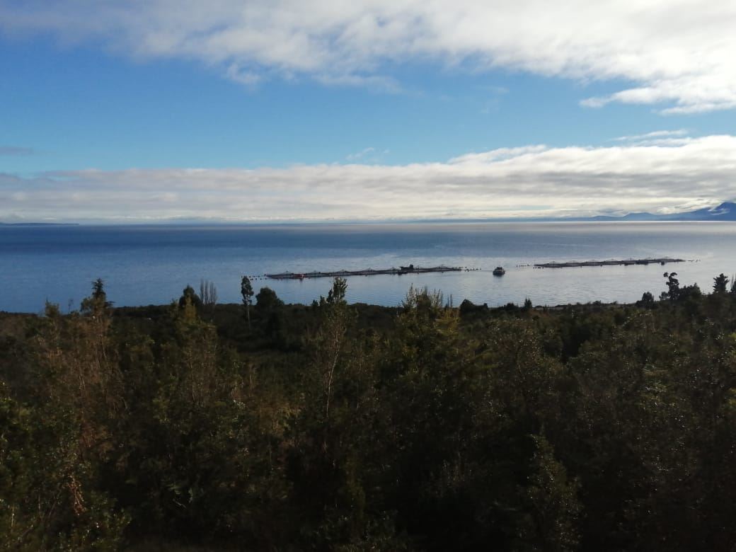 Venta Sitio Hualaihué - Los Lagos