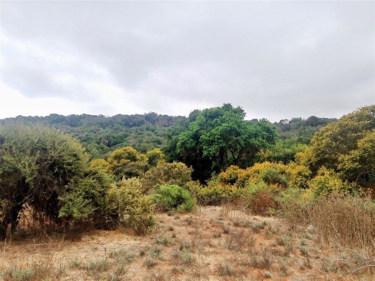 Venta Sitio Quintero - Valparaíso