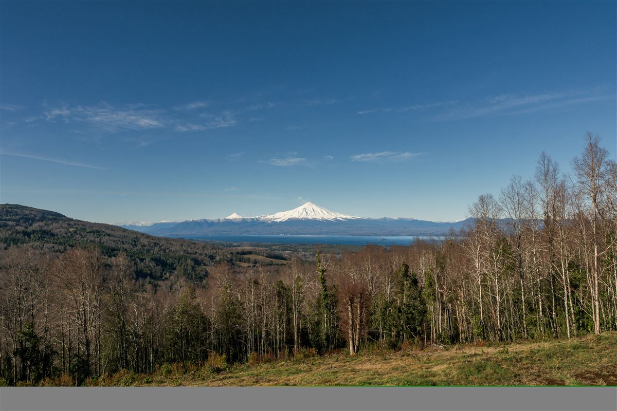 Venta Parcela Villarrica - La Araucanía