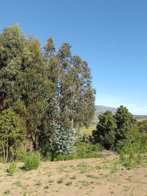 Venta Parcela Quintero - Valparaíso