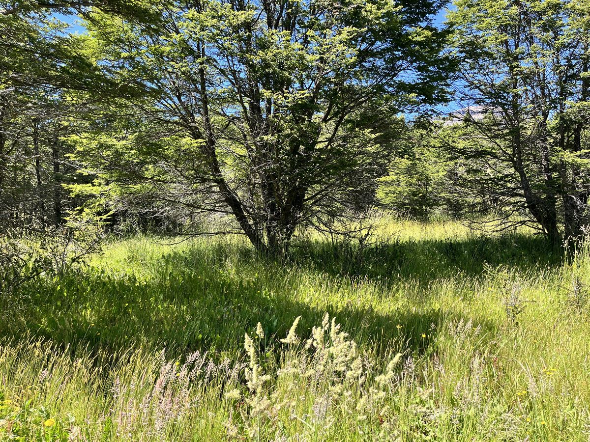 Venta Parcela Coyhaique - Aysén