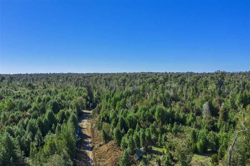 Venta Sitio Ancud - Los Lagos