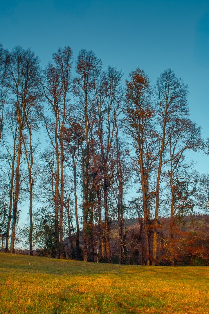 Venta Parcela Villarrica - La Araucanía
