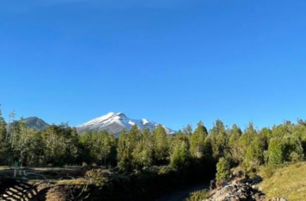 Venta Parcela Puerto Varas - Los Lagos