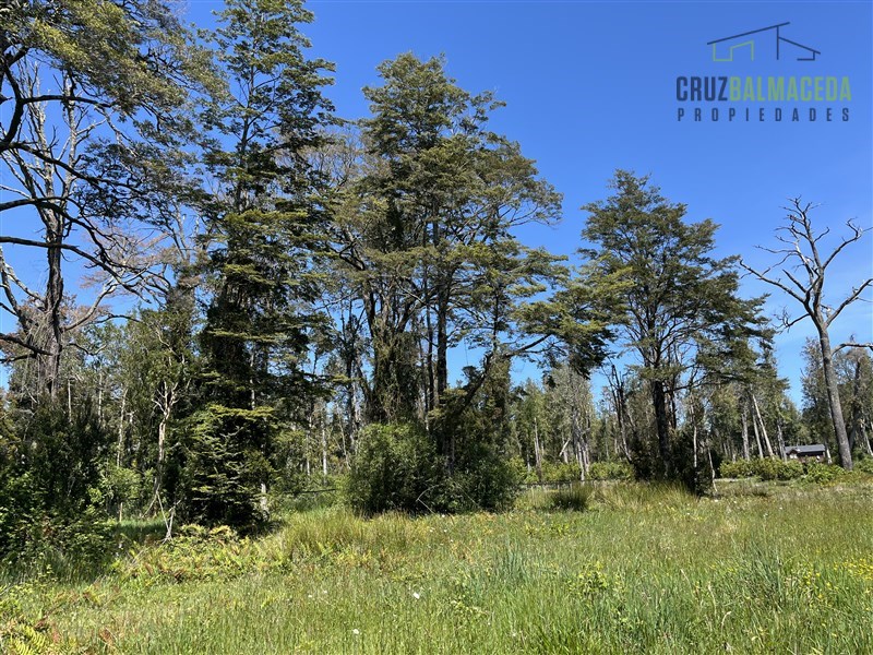 Venta Parcela Puerto Varas - Los Lagos