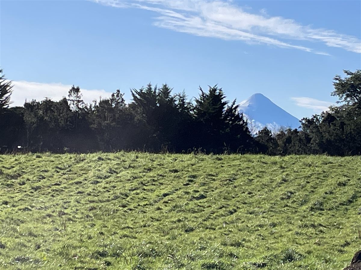 Venta Parcela Puerto Varas - Los Lagos