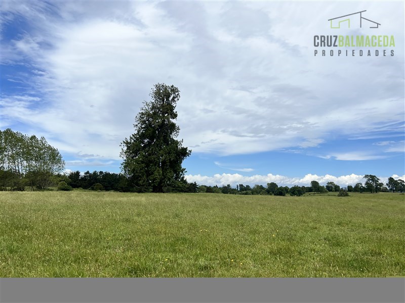 Venta Agrícola Puyehue - Los Lagos