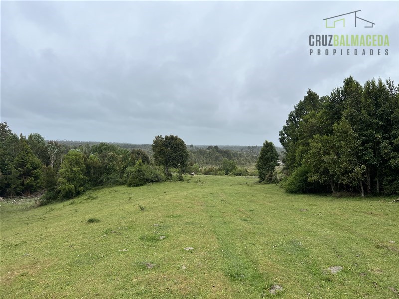 Venta Agrícola Calbuco - Los Lagos