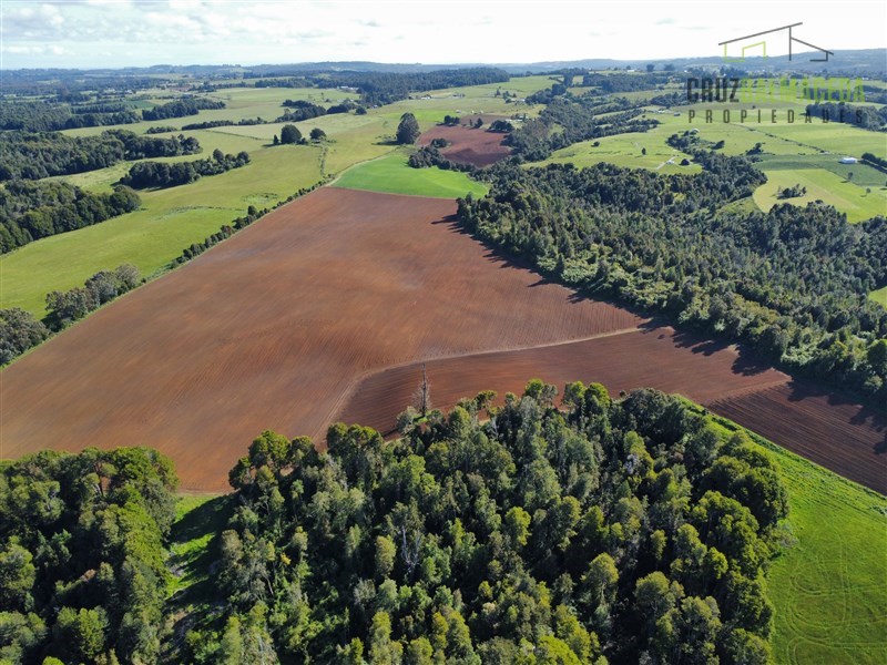 Venta Agrícola Los Muermos - Los Lagos