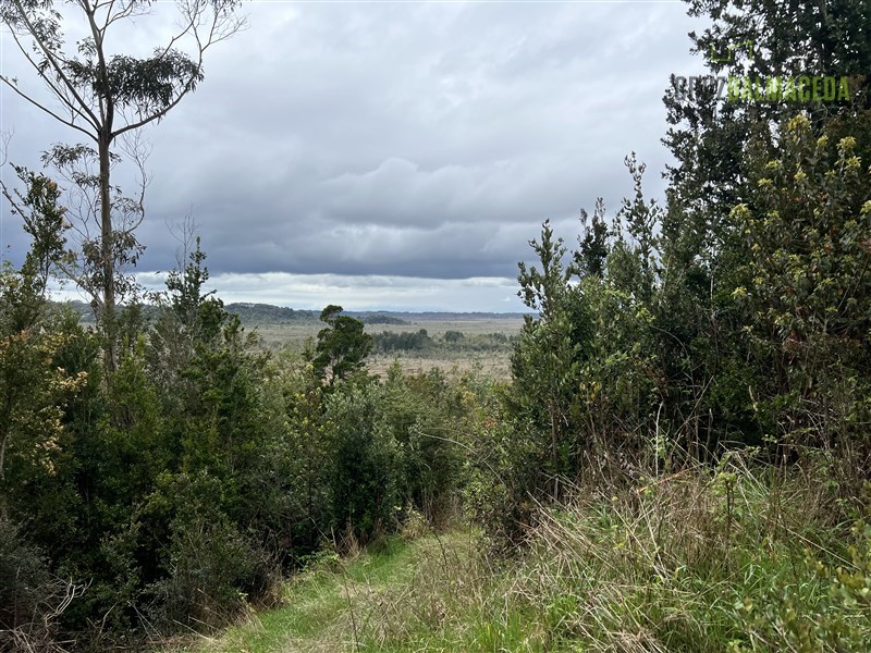 Venta Agrícola Puerto Montt - Los Lagos