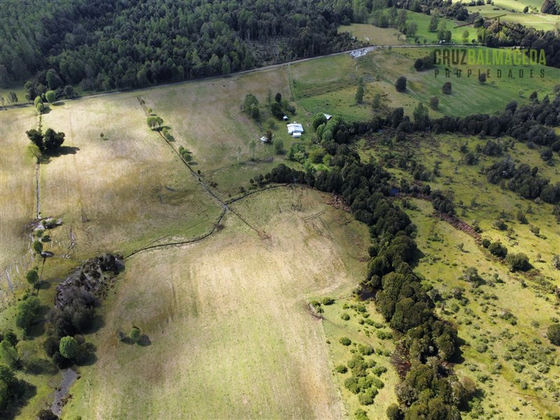 Venta Agrícola Los Muermos - Los Lagos
