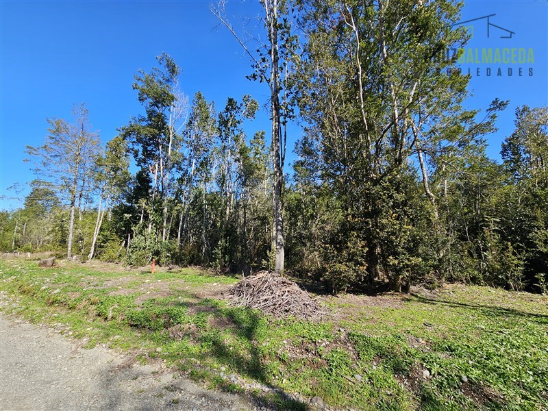 Venta Parcela Puerto Montt - Los Lagos