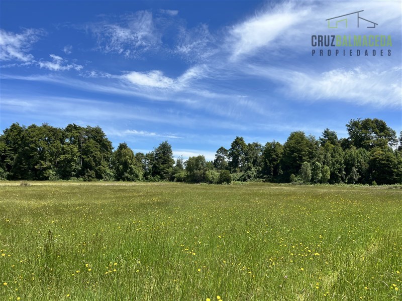 Venta Agrícola Puerto Octay - Los Lagos