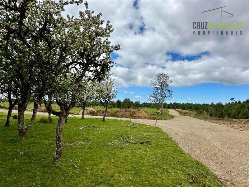 Venta Agrícola Maullín - Los Lagos