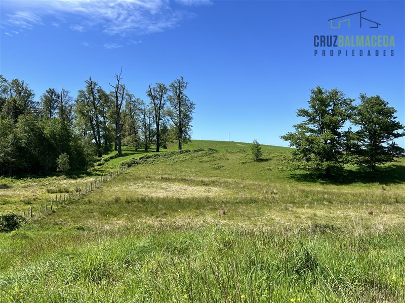 Venta Agrícola Llanquihue - Los Lagos