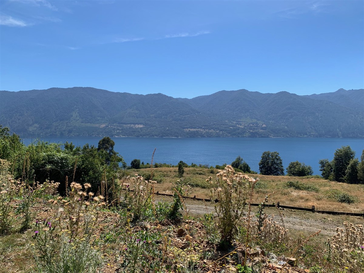 Venta Parcela Los Lagos - Los Ríos