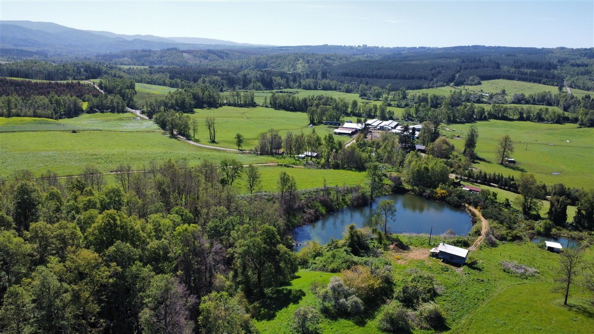 Venta Agrícola Purranque - Los Lagos