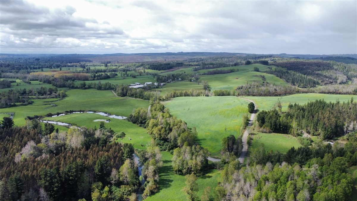 Venta Agrícola Purranque - Los Lagos
