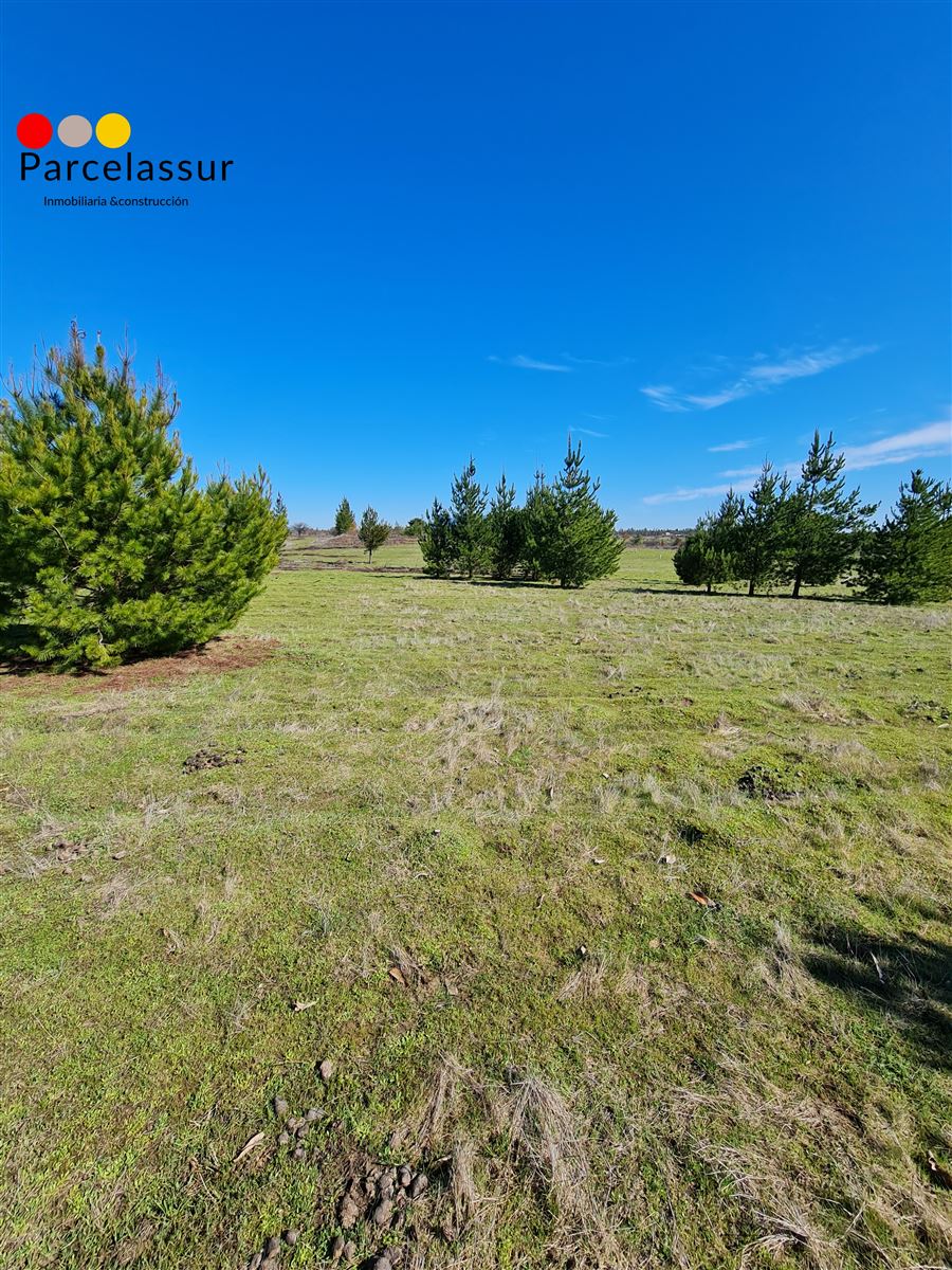 Venta Parcela San Nicolás - Ñuble