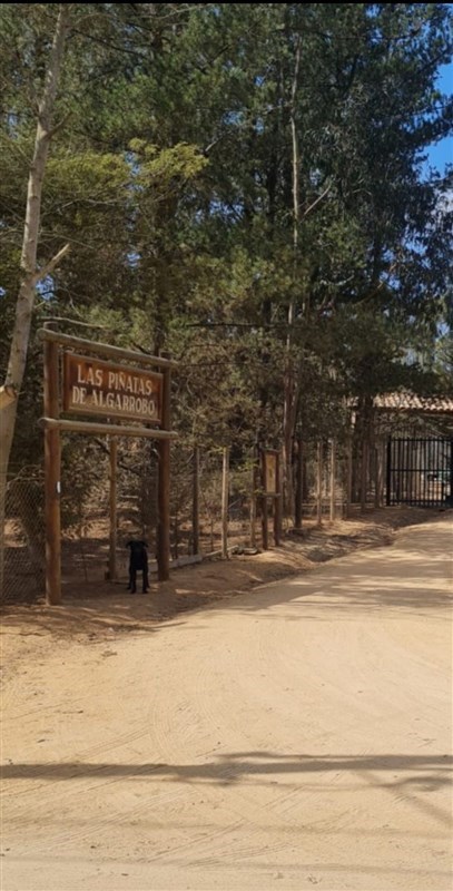 Venta Parcela Algarrobo - Valparaíso