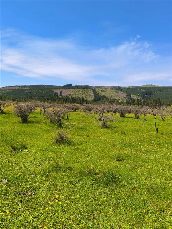 Venta Parcela Vichuquén - Maule