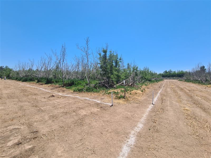 Venta Sitio Colina - Región Metropolitana