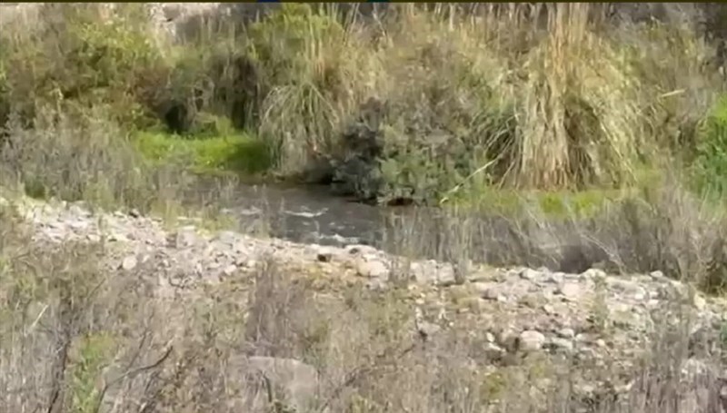 Venta Sitio Vicuña - Coquimbo