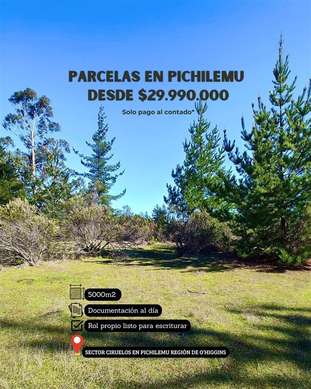 Venta Parcela Pichilemu - O'Higgins