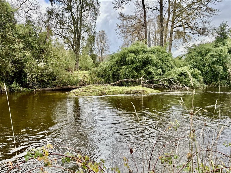 Venta Parcela Frutillar - Los Lagos