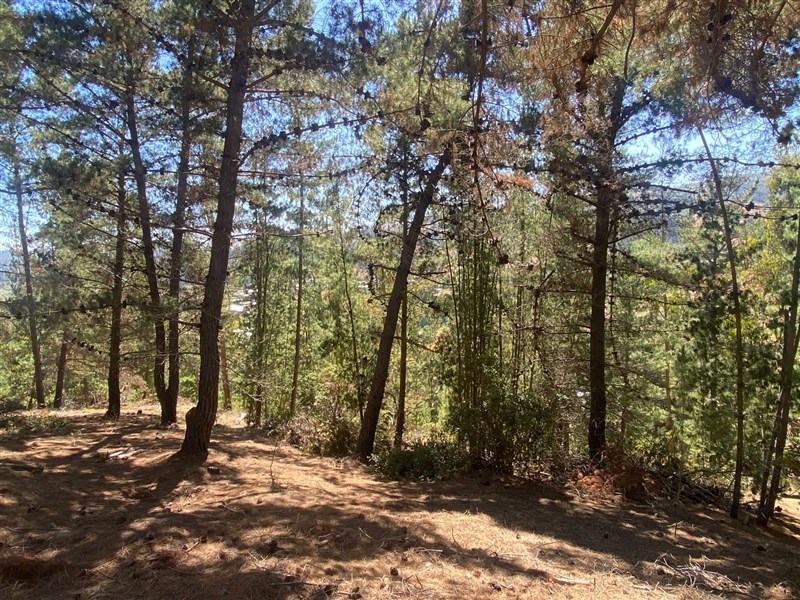 Venta Parcela Navidad - O'Higgins