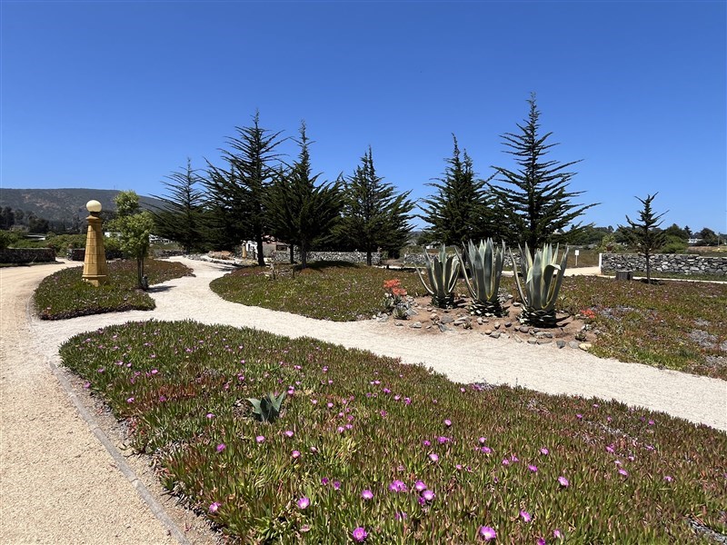 Venta Sitio Puchuncaví - Valparaíso