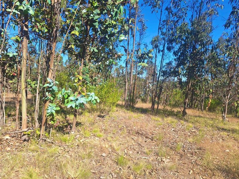 Venta Parcela Navidad - O'Higgins