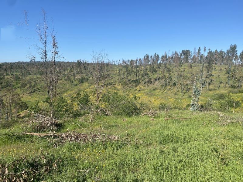 Venta Parcela Santo Domingo - Valparaíso