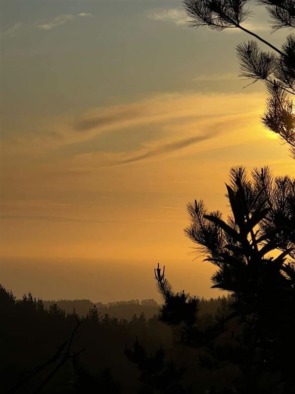 Venta Parcela Pichilemu - O'Higgins