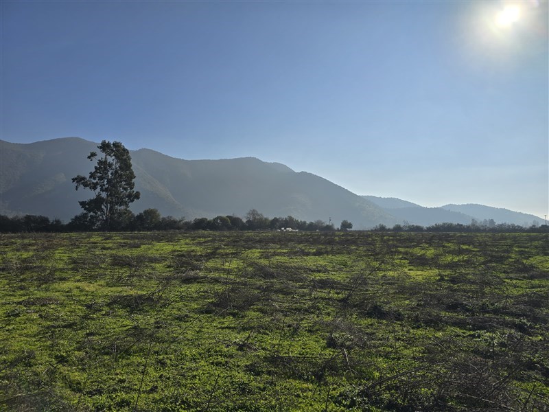 Venta Sitio Talagante - Región Metropolitana