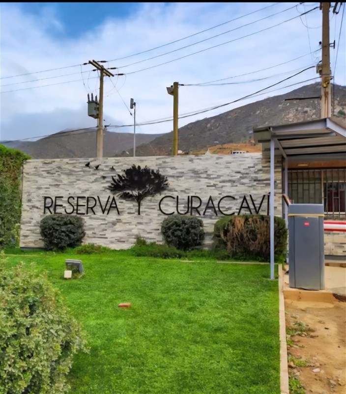 Venta Parcela Curacaví - Región Metropolitana