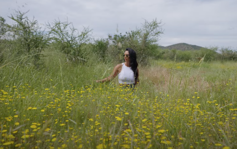 Venta Parcela Marchigüe - O'Higgins