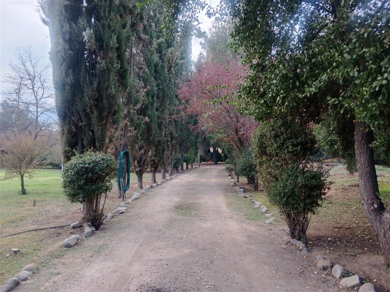 Venta Parcela Pirque - Región Metropolitana