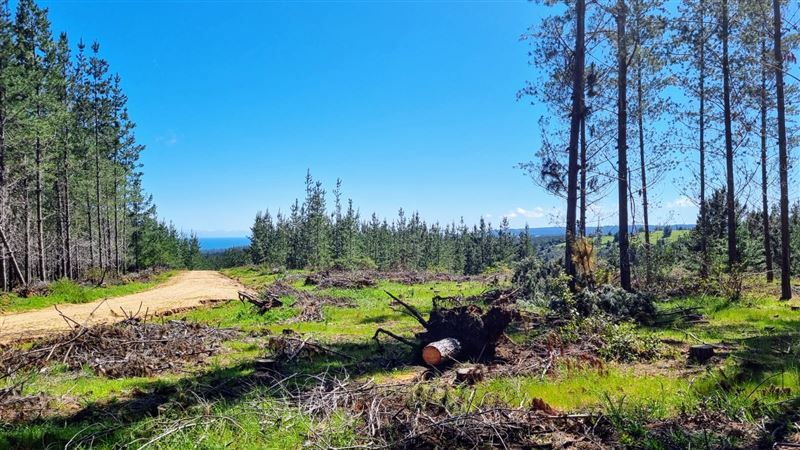Venta Parcela Pichilemu - O'Higgins