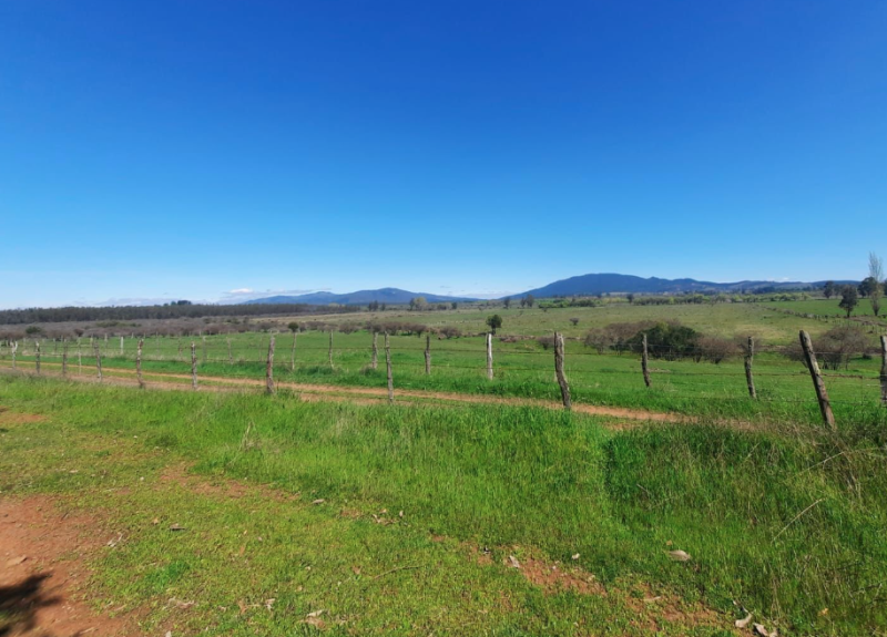 Venta Parcela Chillán - Ñuble