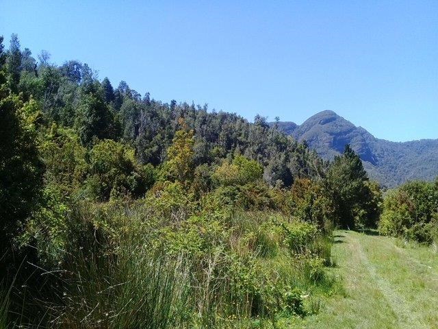 Venta Agrícola Los Muermos - Los Lagos