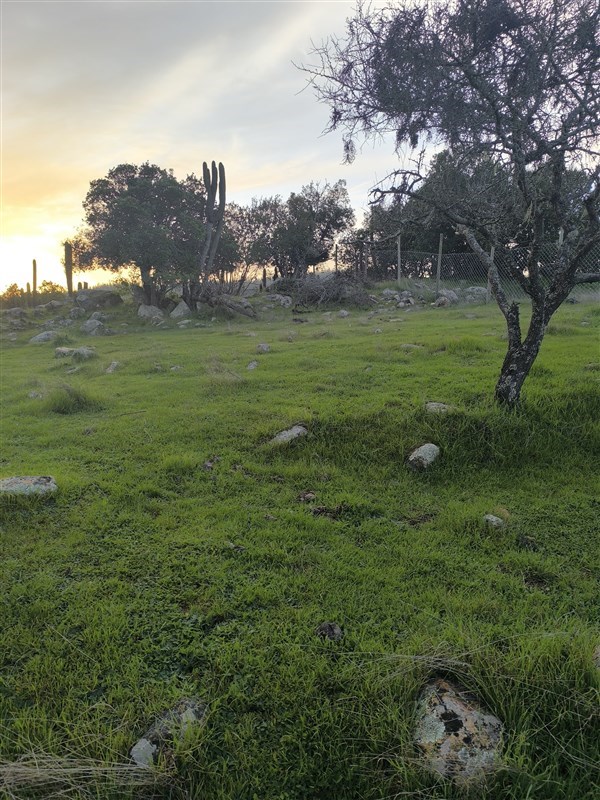 Venta Parcela Licantén - Maule