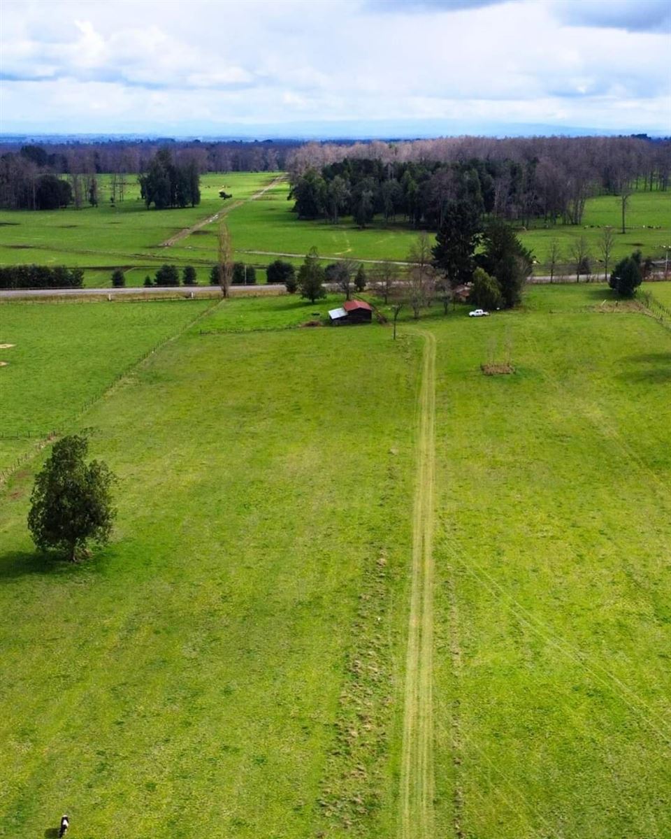 Venta Parcela Paillaco - Los Ríos