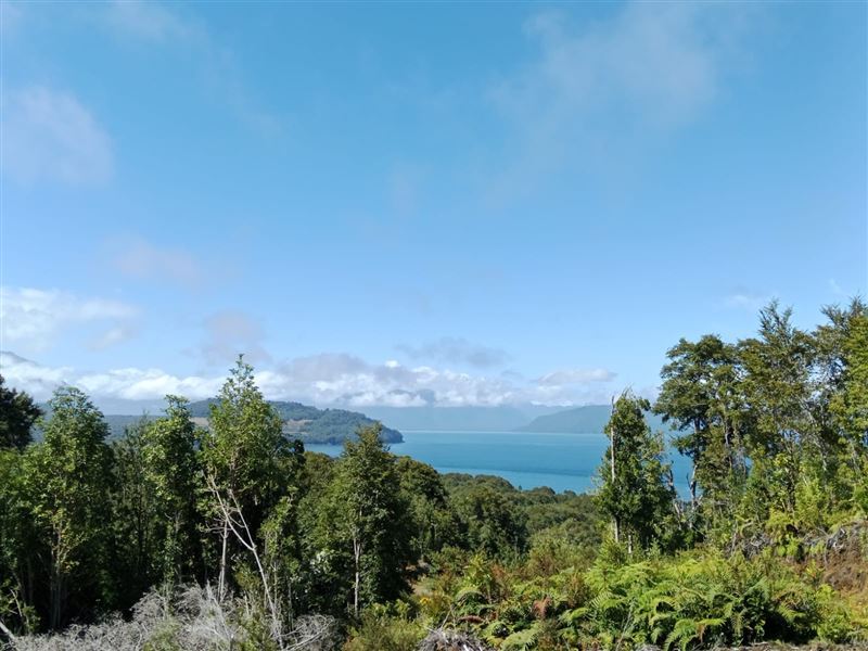 Venta Terreno Vilcún - La Araucanía