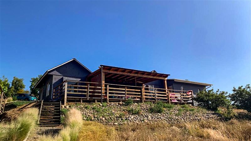 Venta Parcela Curacaví - Región Metropolitana