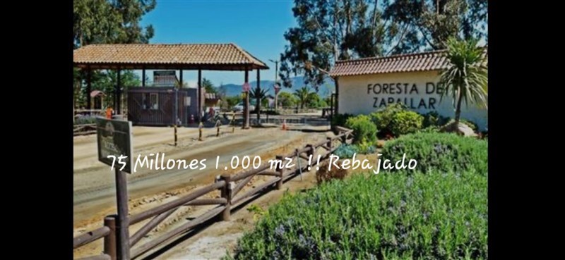 Venta Parcela Zapallar - Valparaíso