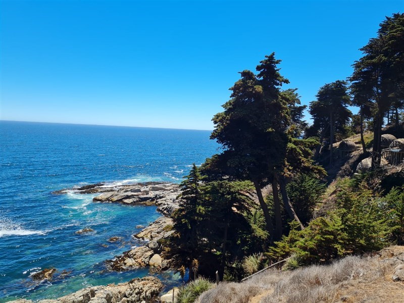 Venta Sitio Puchuncaví - Valparaíso