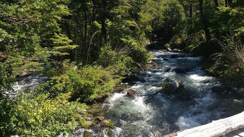 Venta Parcela Curarrehue - La Araucanía