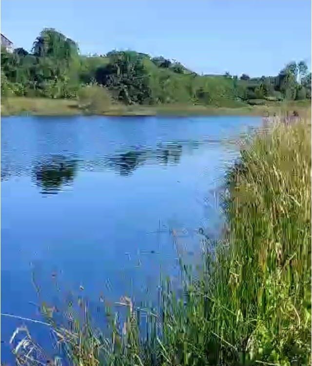 Venta Sitio Ancud - Los Lagos